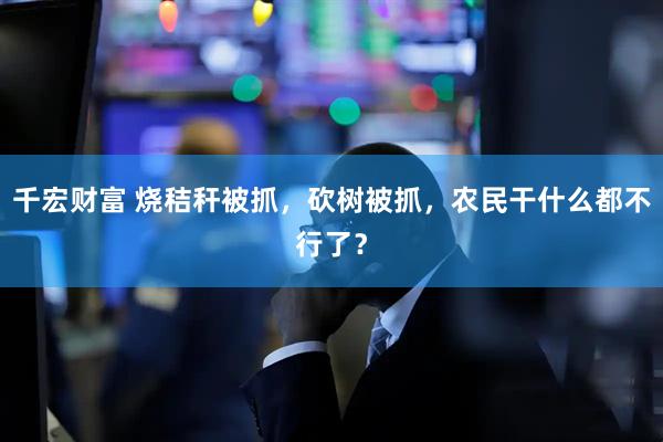 千宏财富 烧秸秆被抓，砍树被抓，农民干什么都不行了？